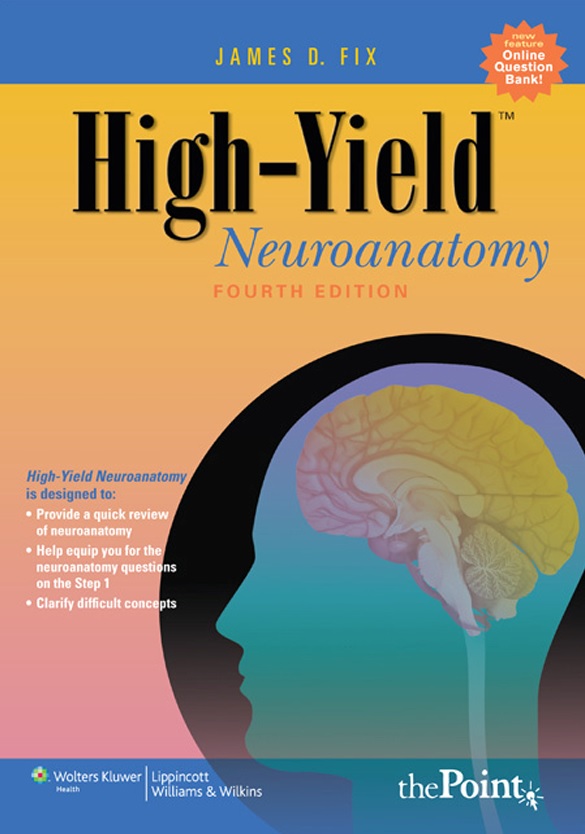 High yield neuroanatomy