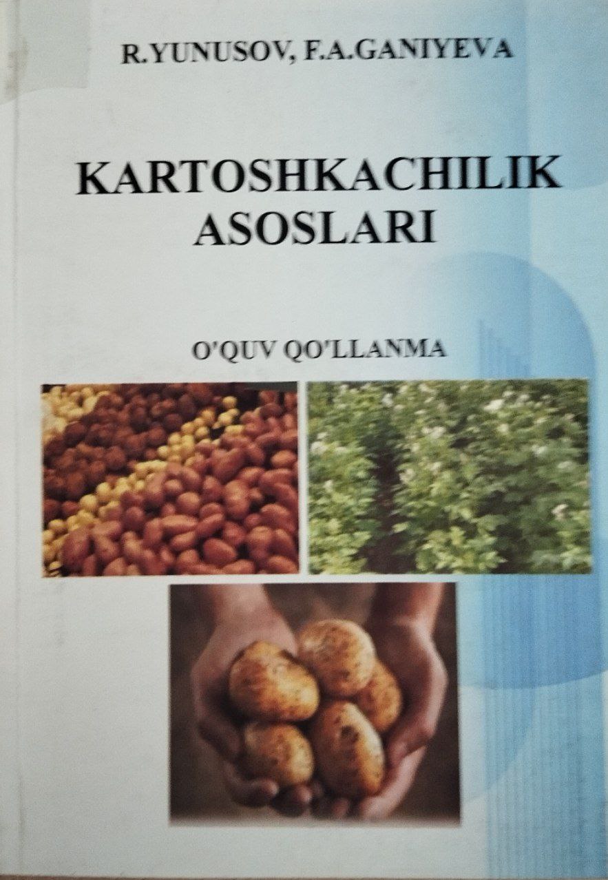 Kartoshkachilik