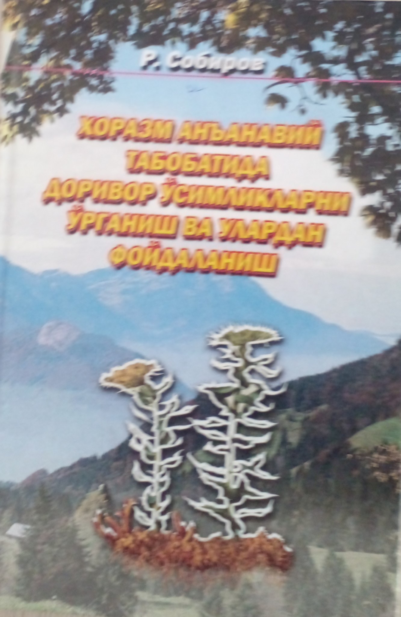 Хоразм анъанавий табобатида доривор ўсимликларни ўрганиш ва улардан фойдаланиш