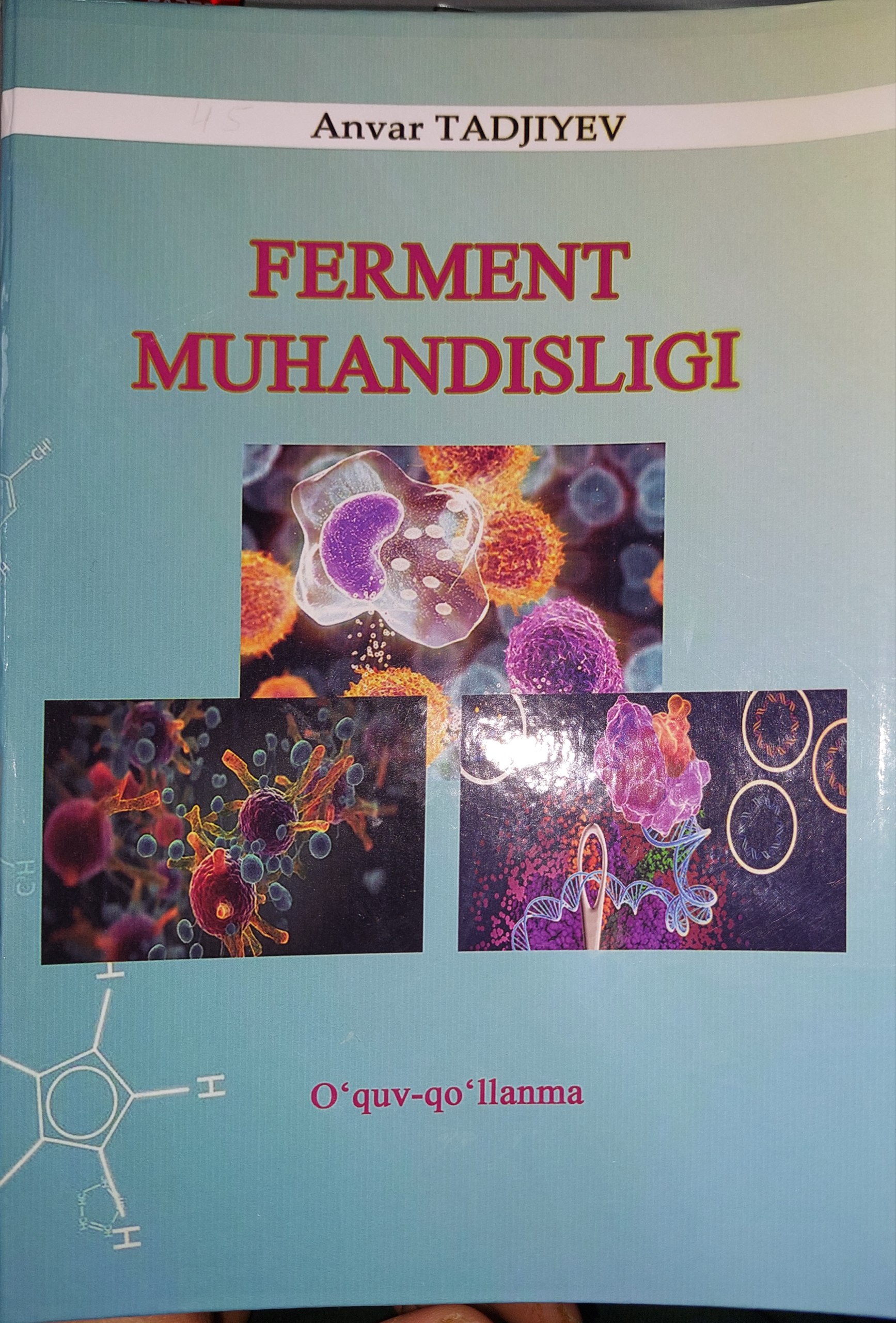 Ferment Muhandisligi
