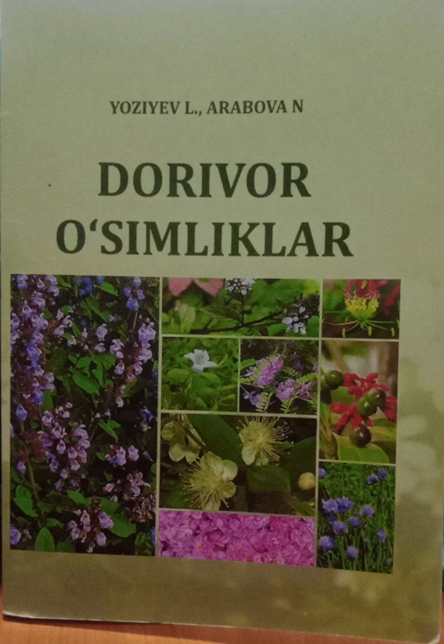 Dorivor o`simliklar