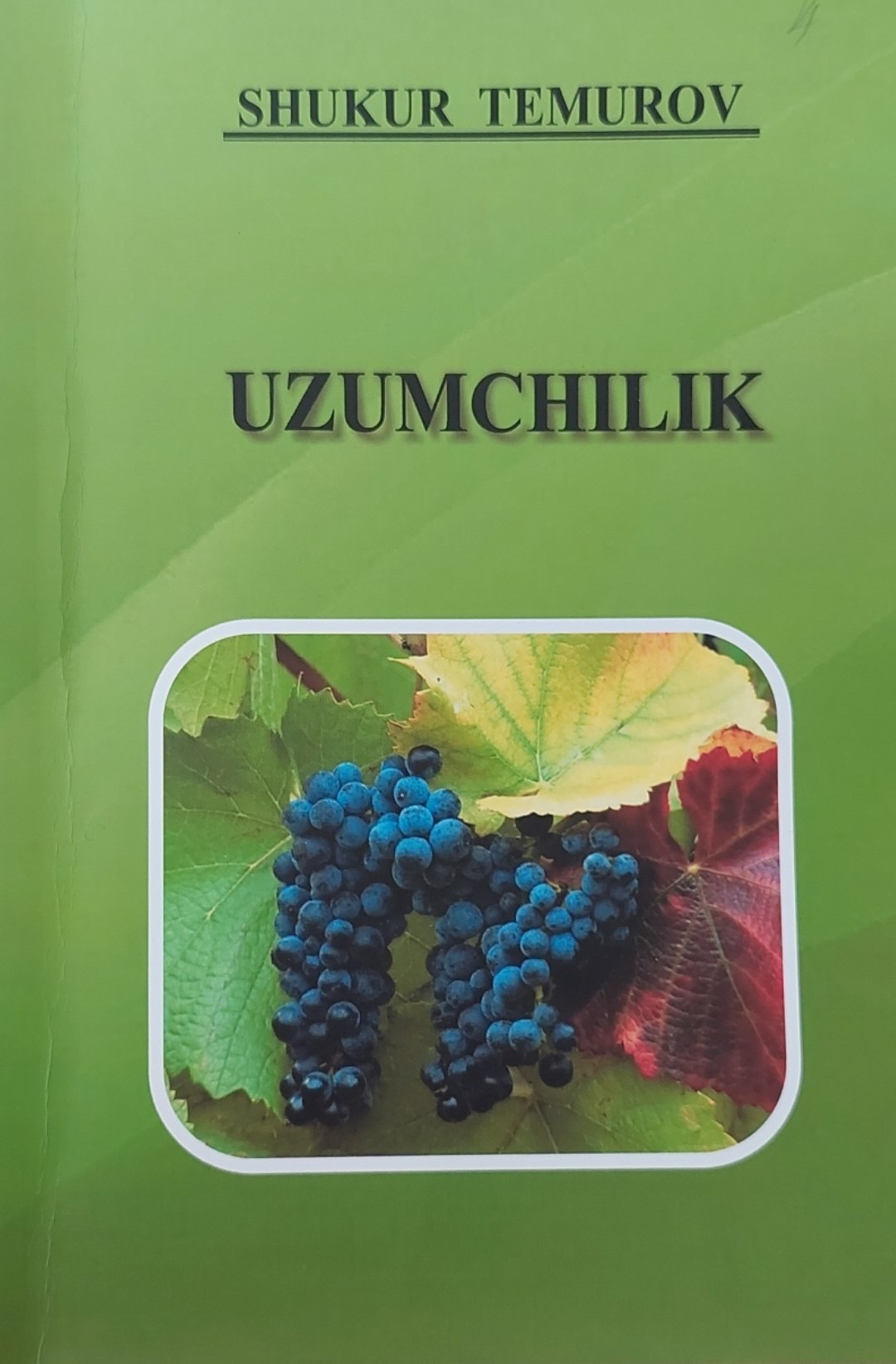 Uzumchilik