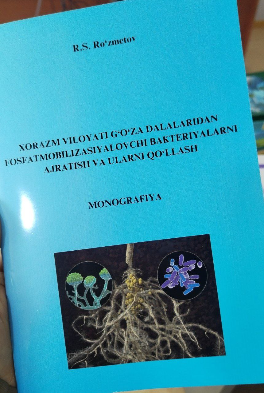 Xorazm g'o'za dalalaridan fosfatmobilizasiyalovchi bakteriyalarni ajratish va ularni qo'llash