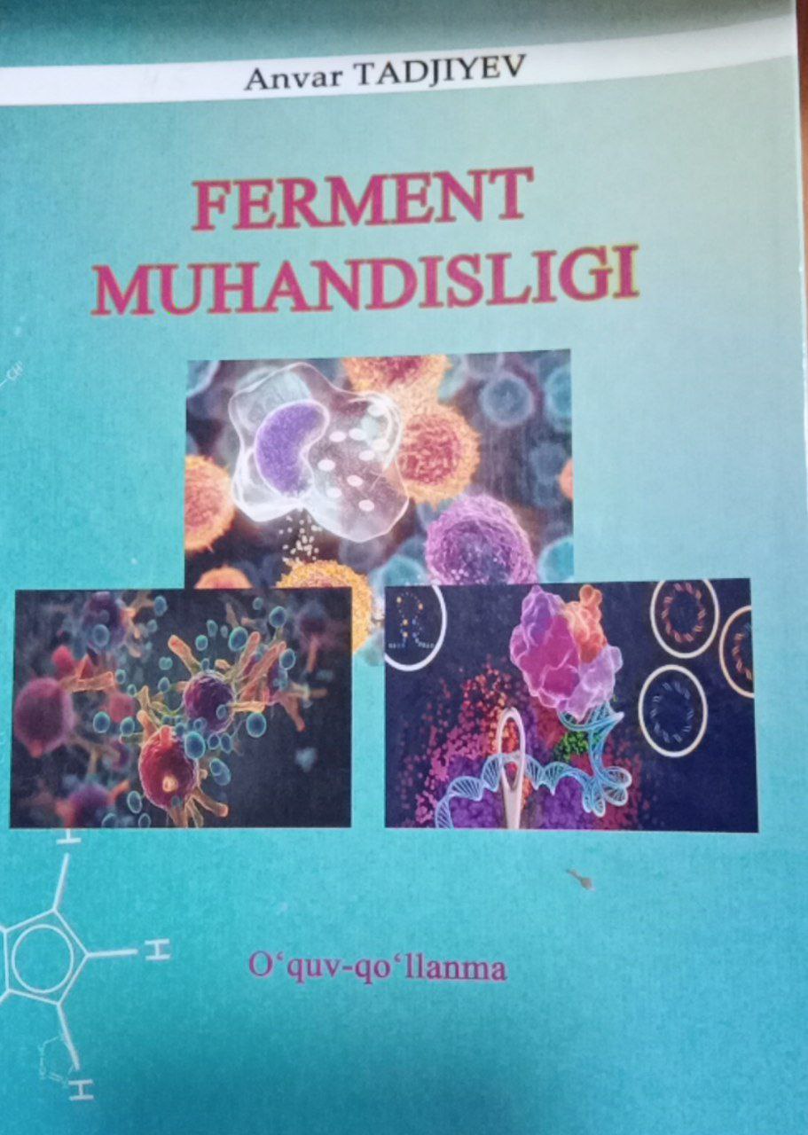 Ferment muhandisligi