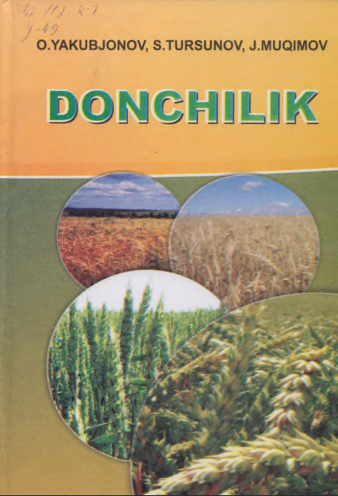 DONCHILIK