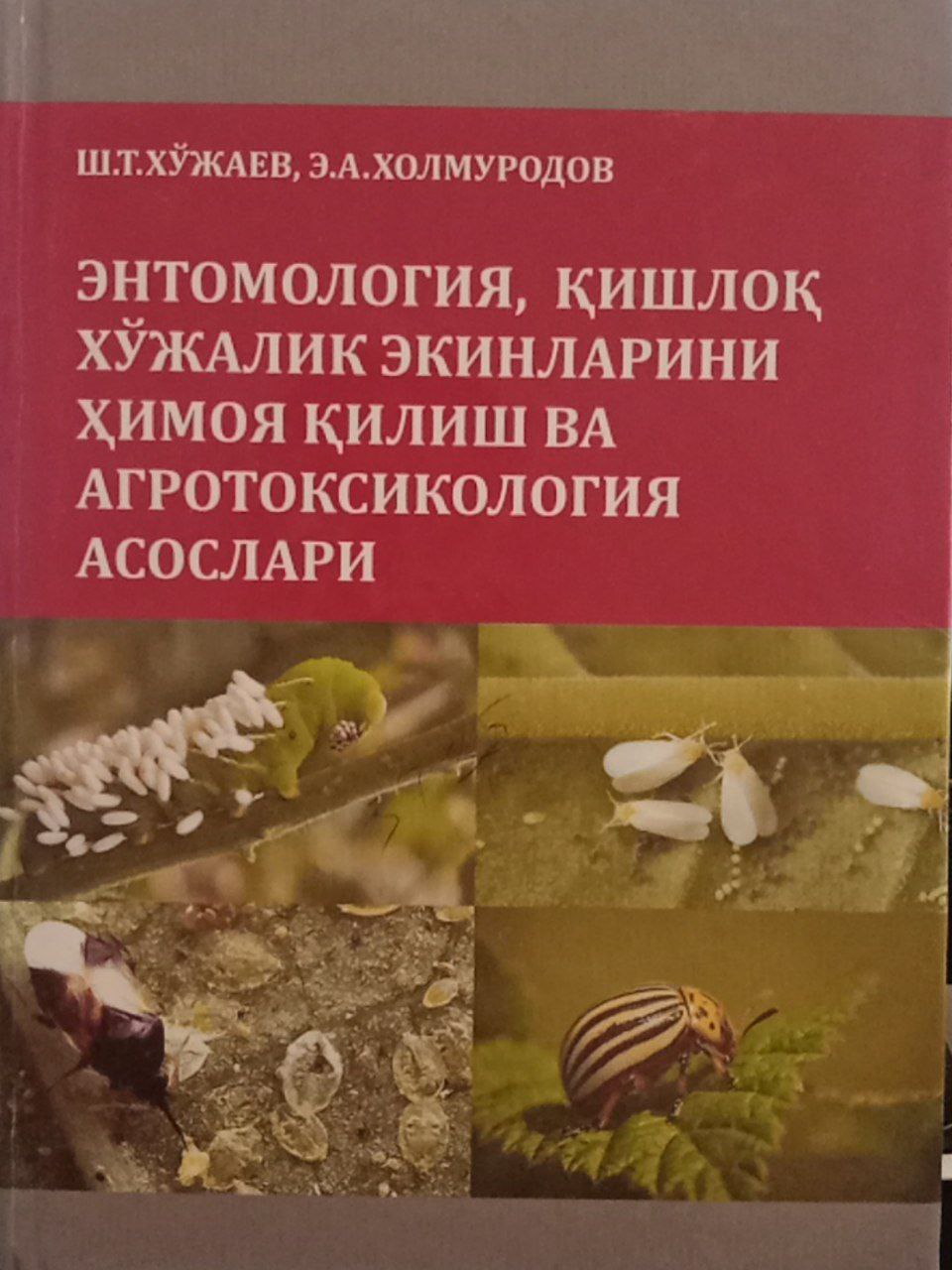 Энтомология,қишлоқ хўжалиги эктнларини ҳимоя қилиш ва агротоксинология асослари