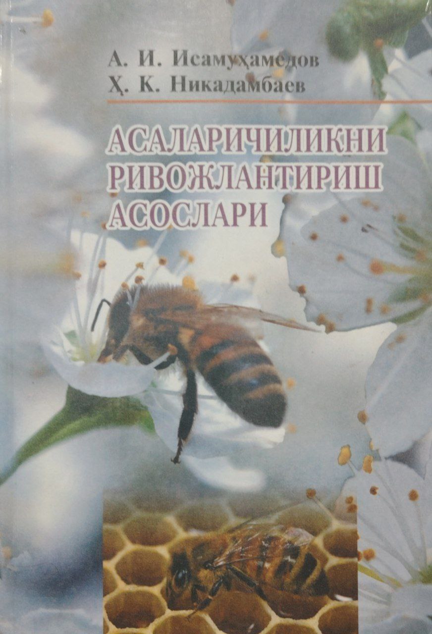 Asalarichilikni rivojlantirish asoslari