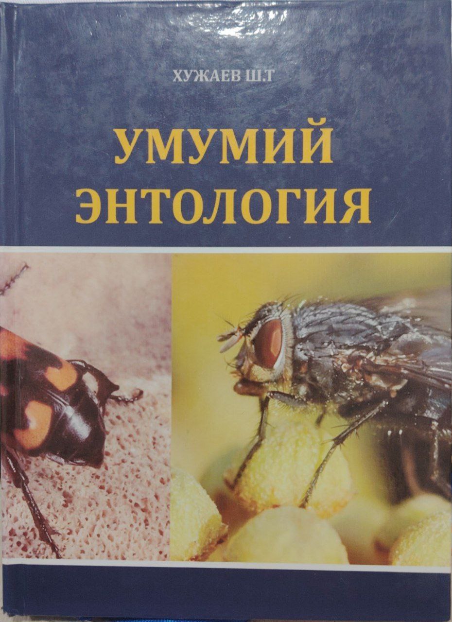 Умумий энтология