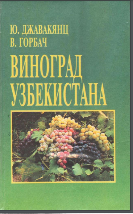 Виноград Узбекистана
