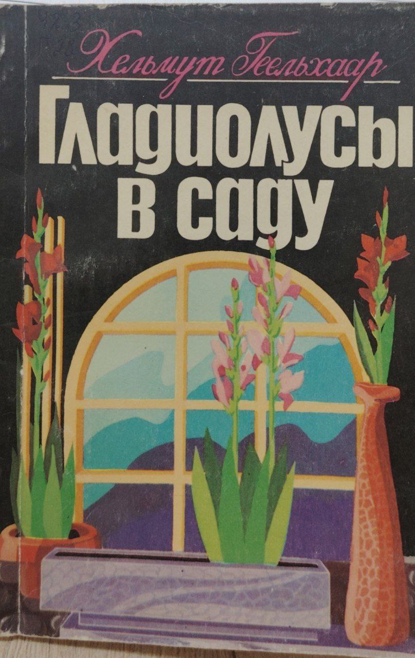 Гладиолусы в саду.