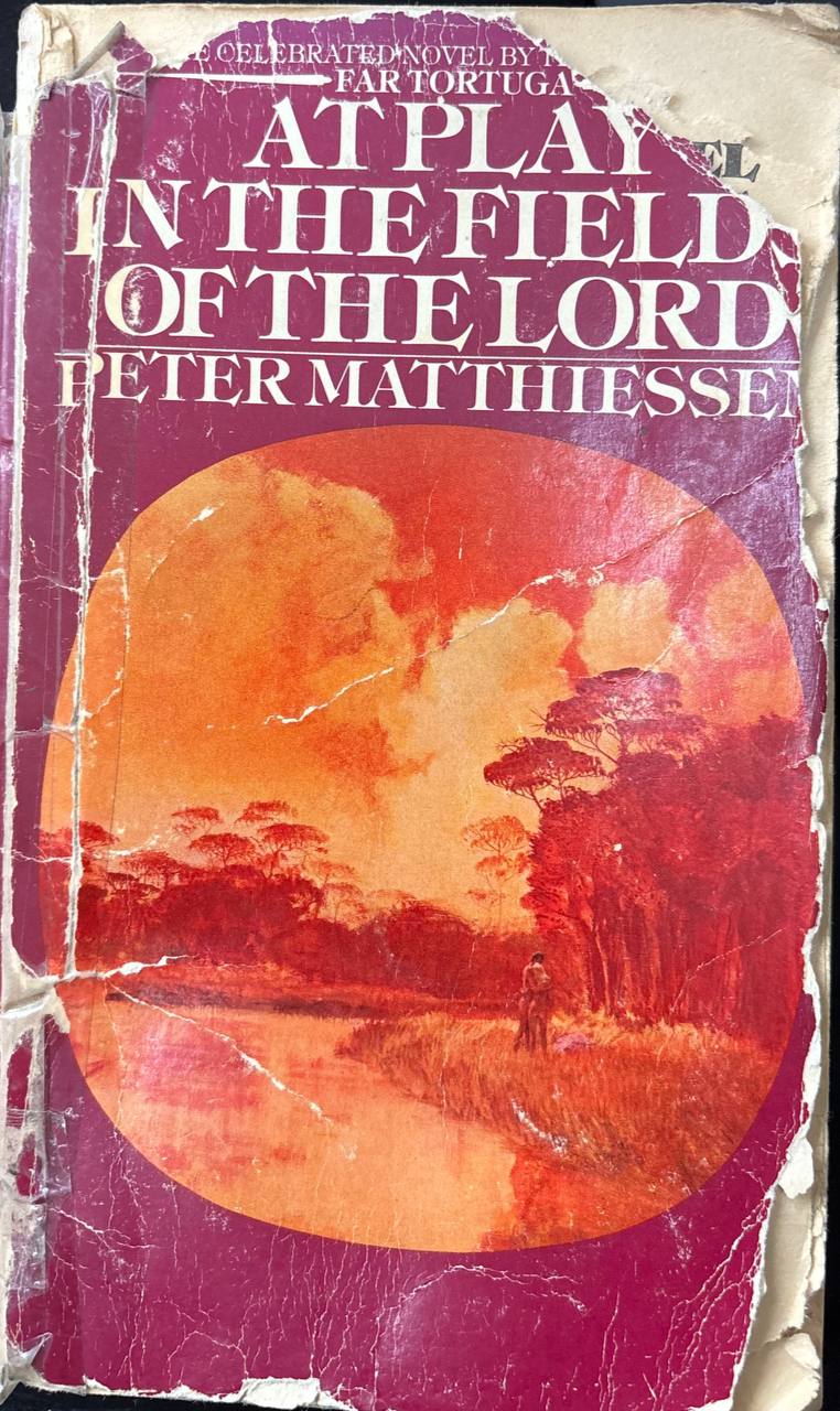 Atplay in the field of the Lord
