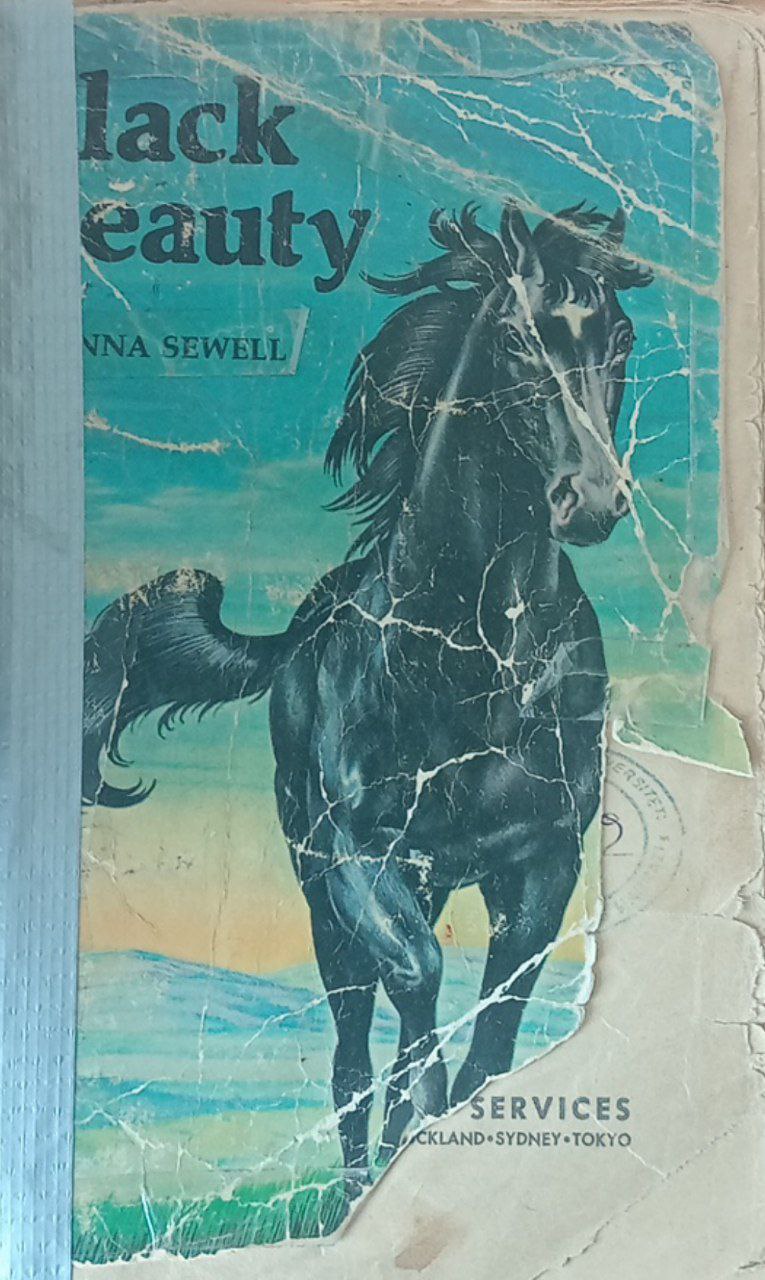 Black Beauty