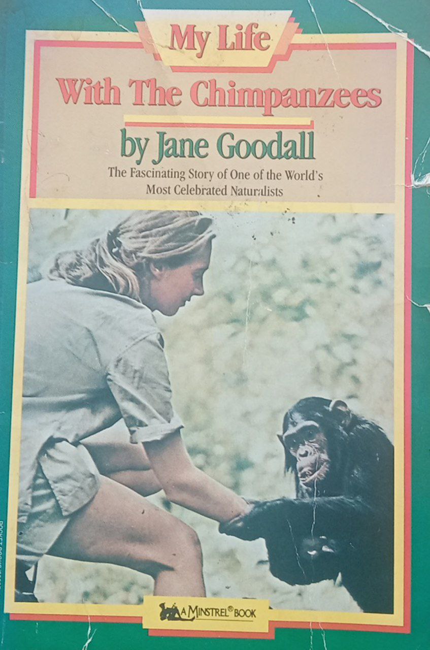With The Chimpanzees