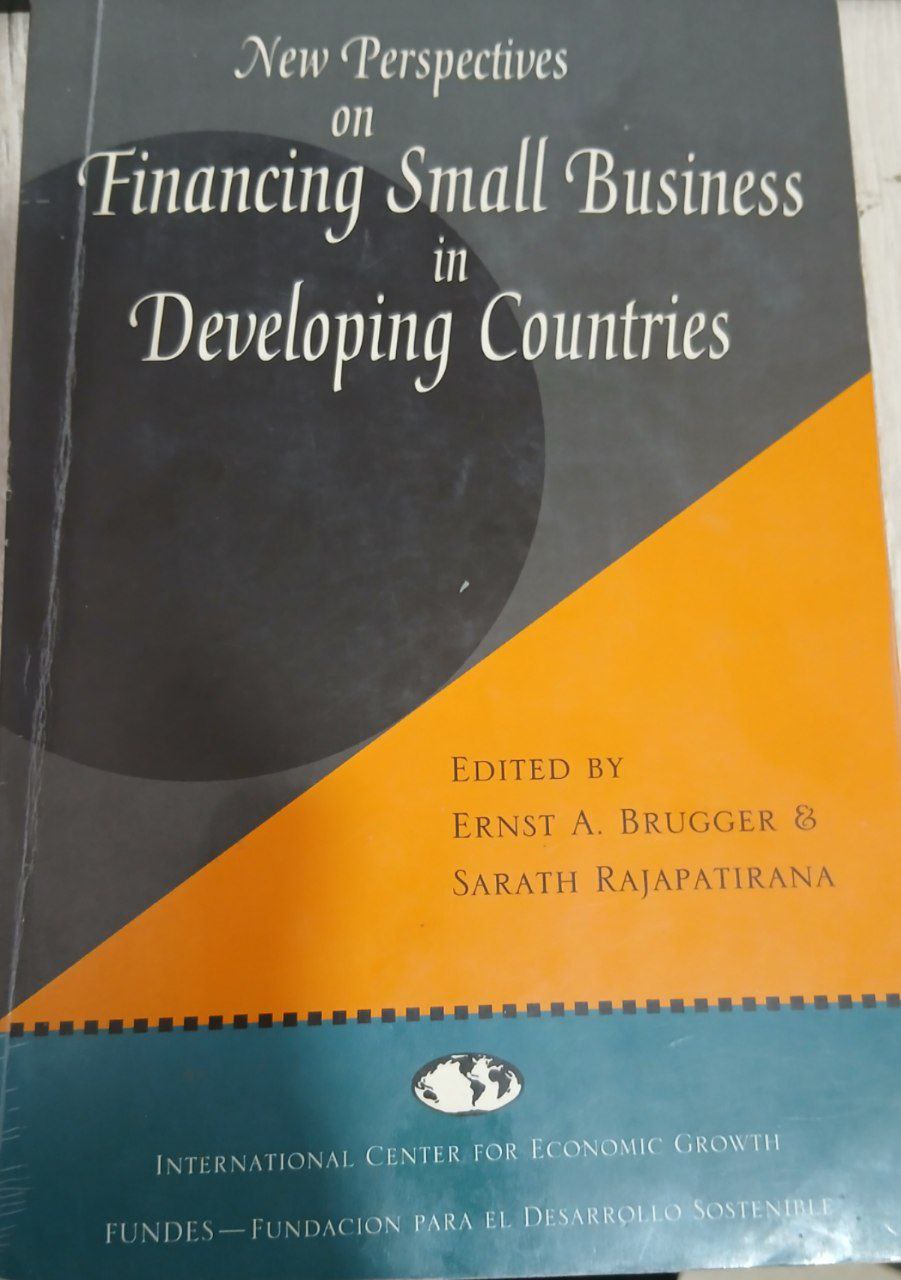 New Perspectives on Financing Small Businiss in Developing Countries