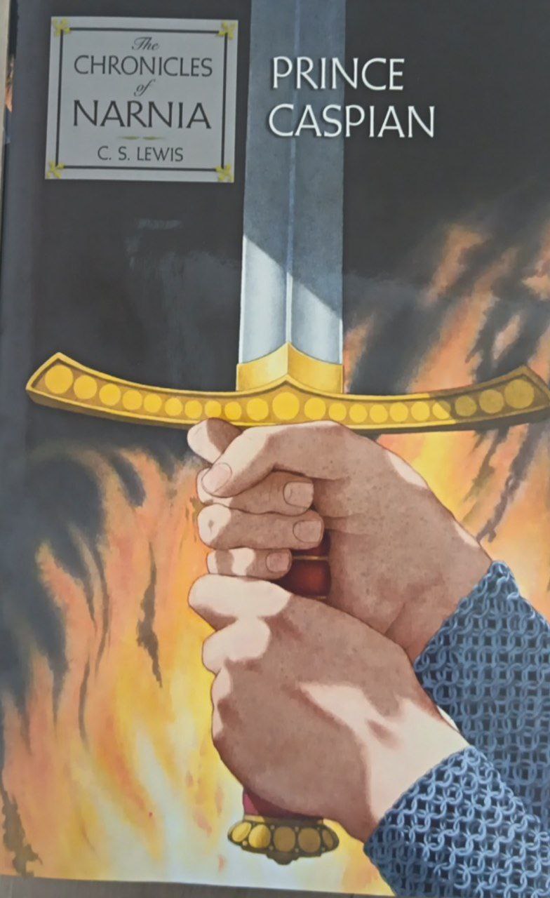 Prince Caspian 4
