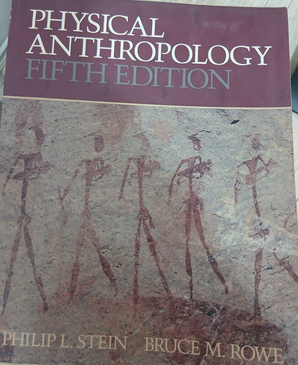 Physical Anthropology 5th Edition