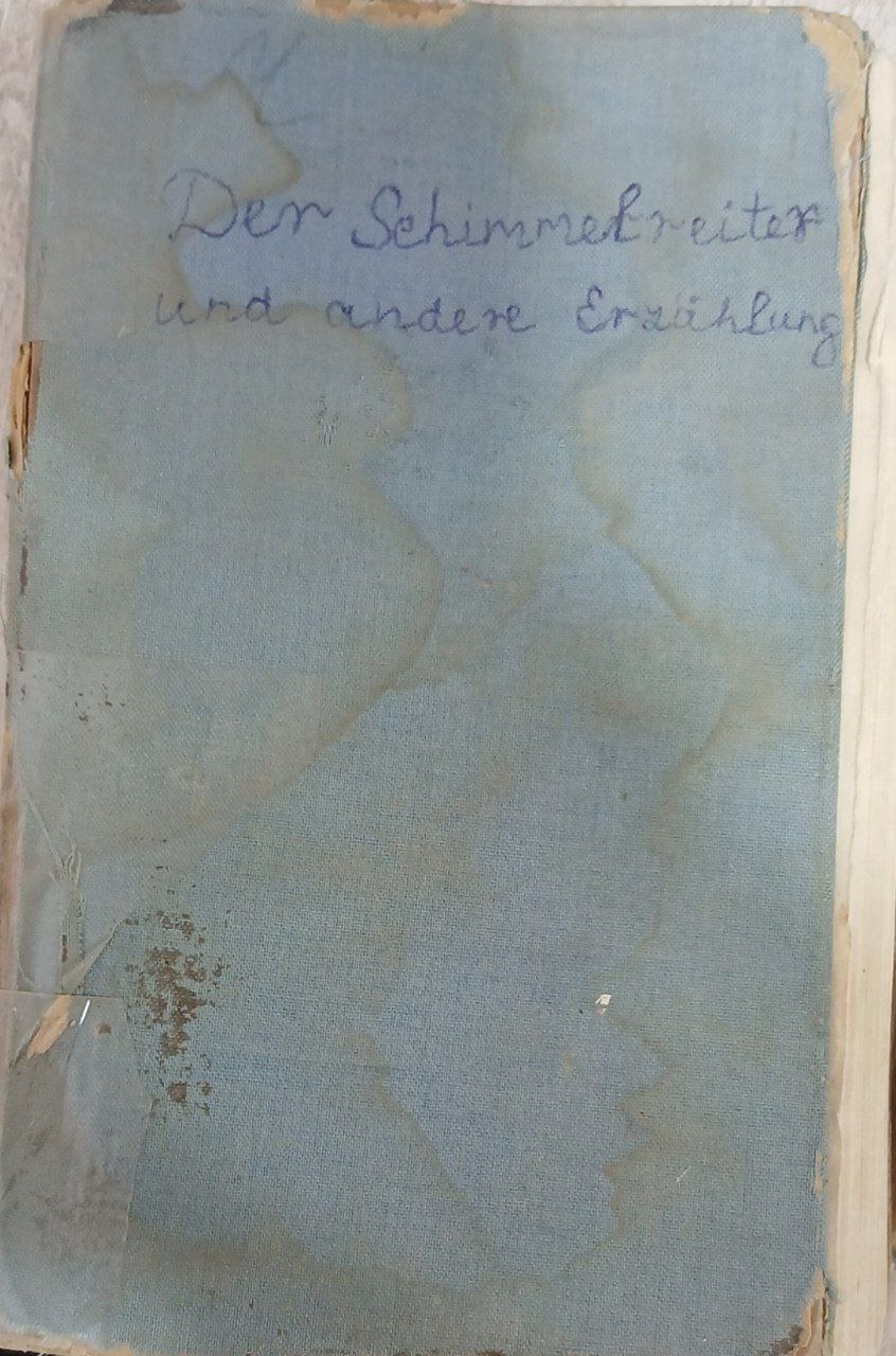 Der Schimmrlreiter und andex Erzahlung