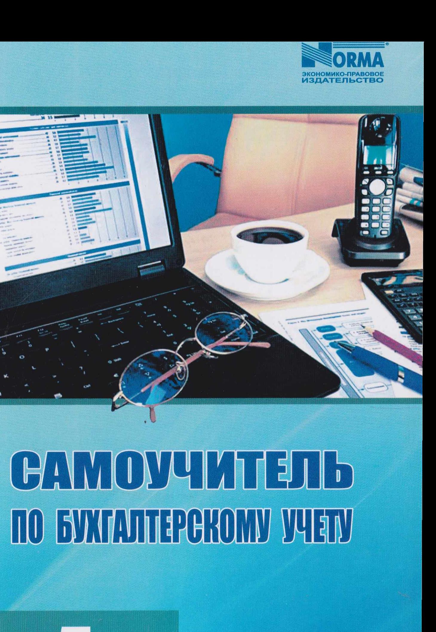 Самоучитель по бухгалтерскому учету