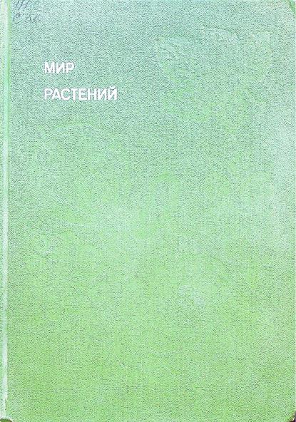 Мир растений