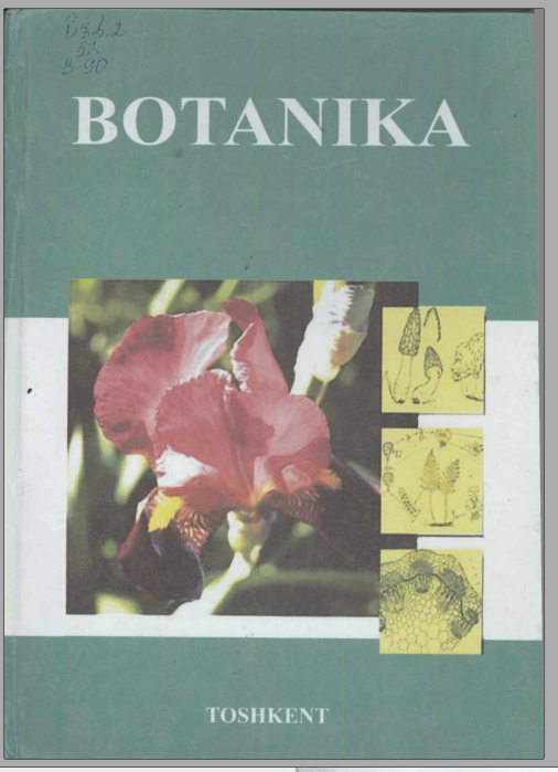 Botanika