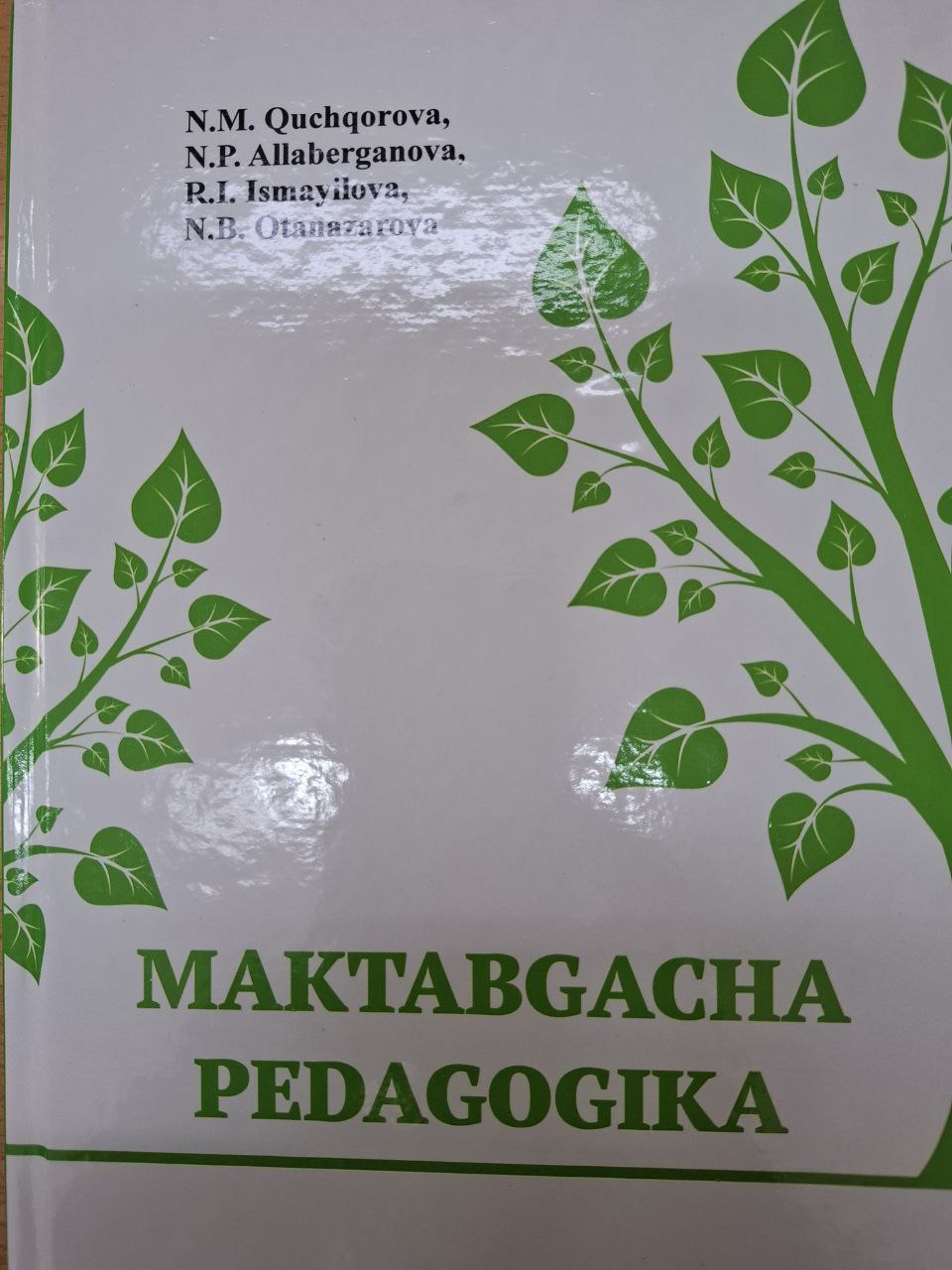 Maktabgacha pedagogika
