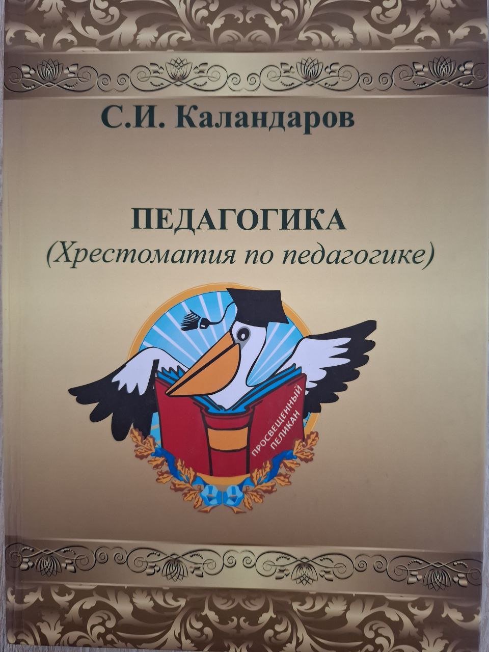 Педагогика (Хрестоматия по педагогика)