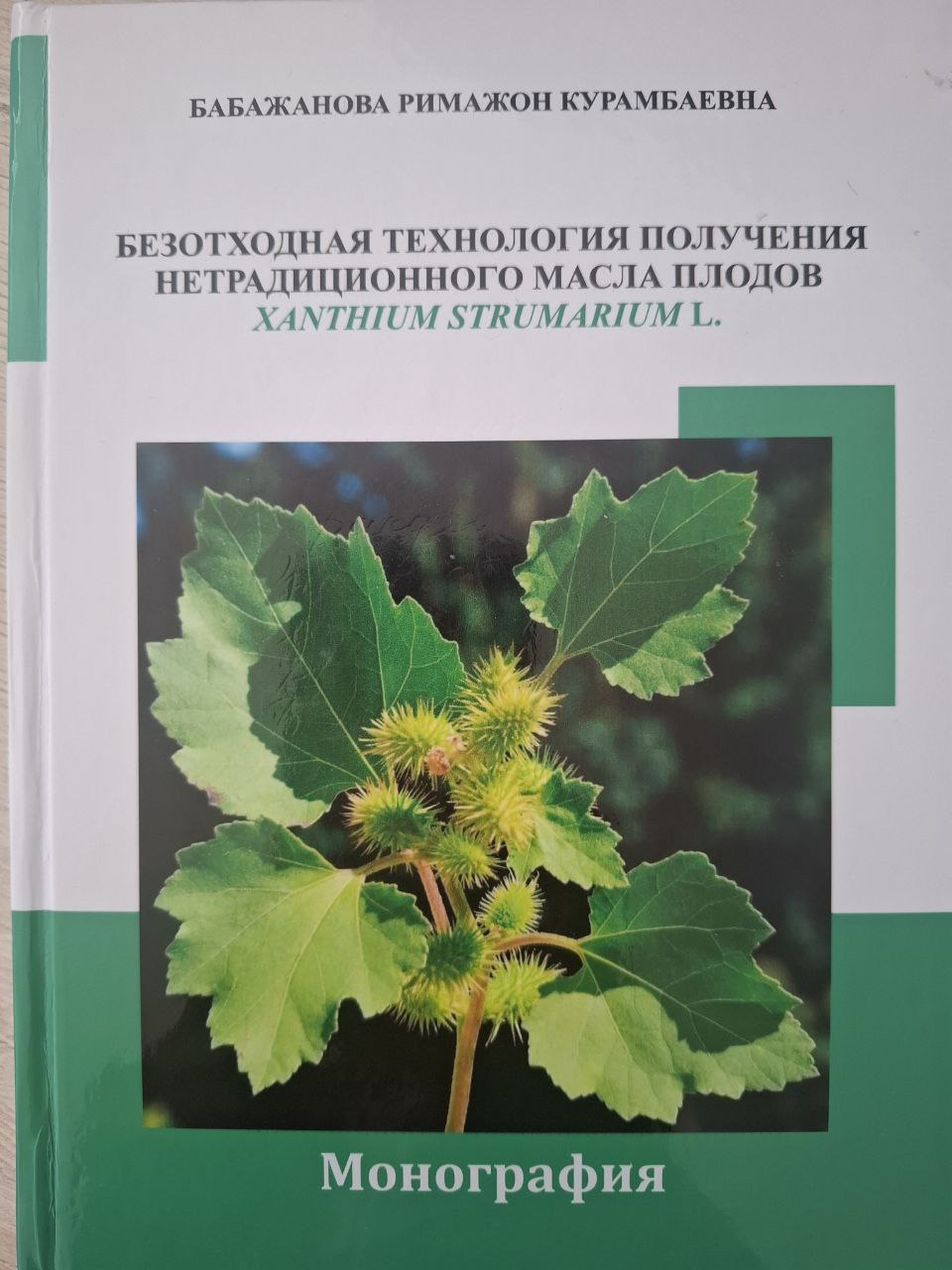 Безотходная технология получения нетрадиционного масла плодов XANTHIUM STRUMARIUM L.