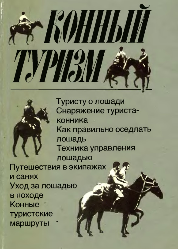 Конный туризм