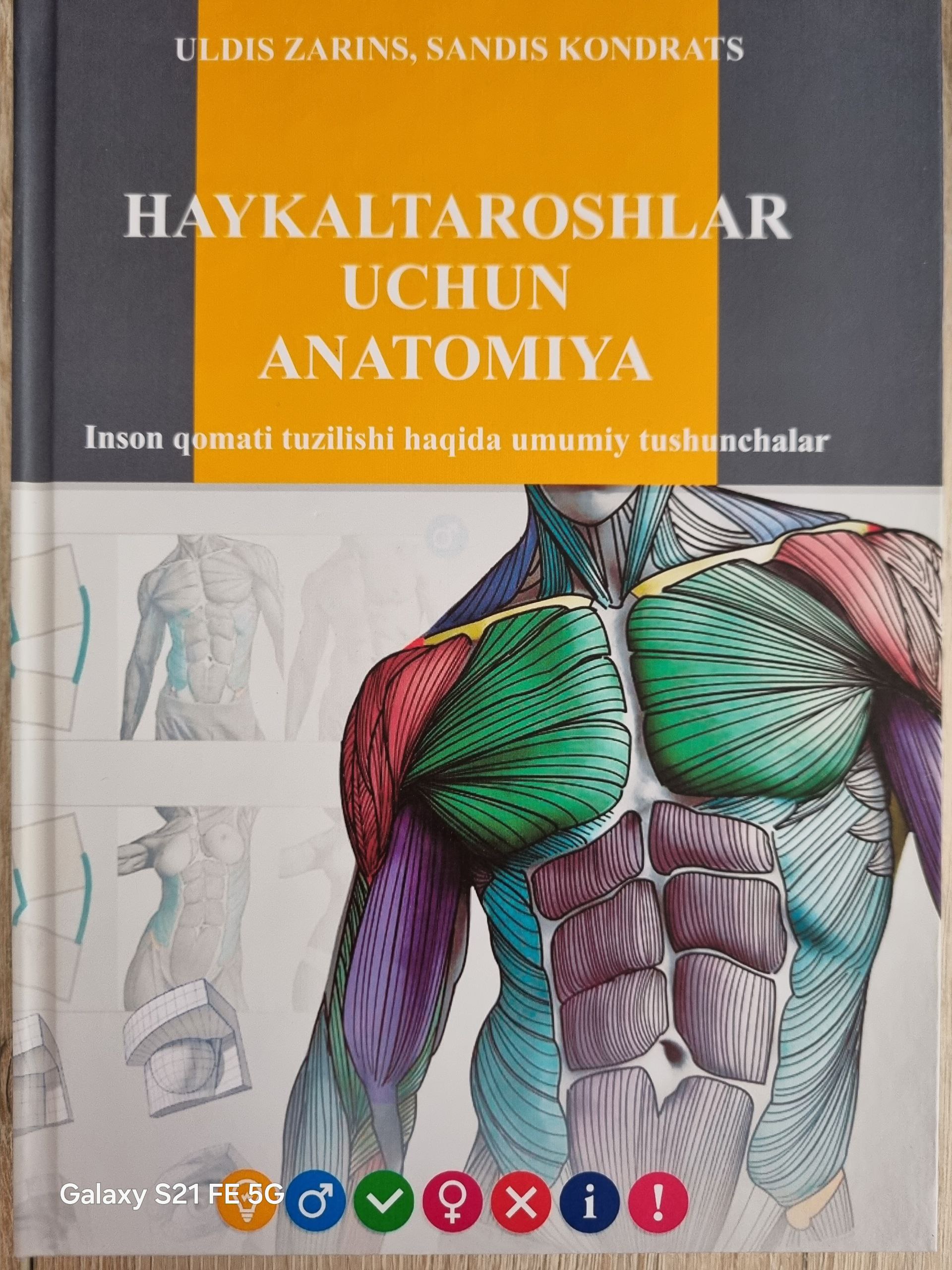 Haykaltaroshlar uchun anatomiya