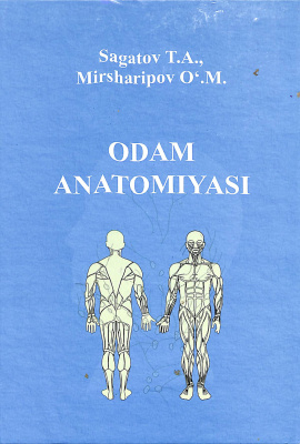 Odam anatomiyasi