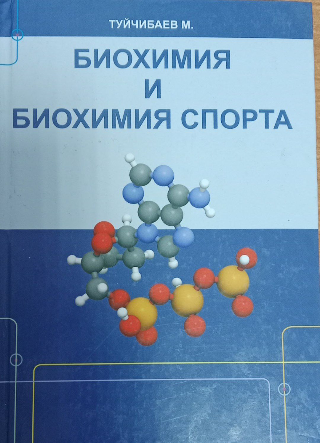 Биохимия и биохимия спорта