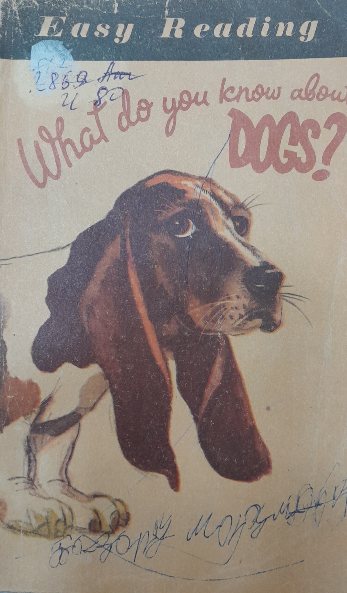 What do you know about dogs?