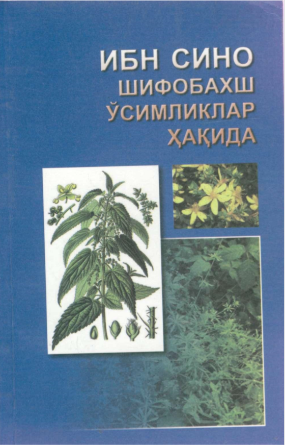 Ибн Сино шифобахш ўсимликлар ҳақида