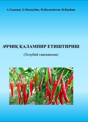 АЧЧИҚ ҚАЛАМПИР ЕТИШТИРИШ