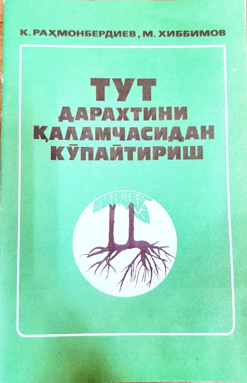 Тут дарахтини қаламчасидан кўпайтириш