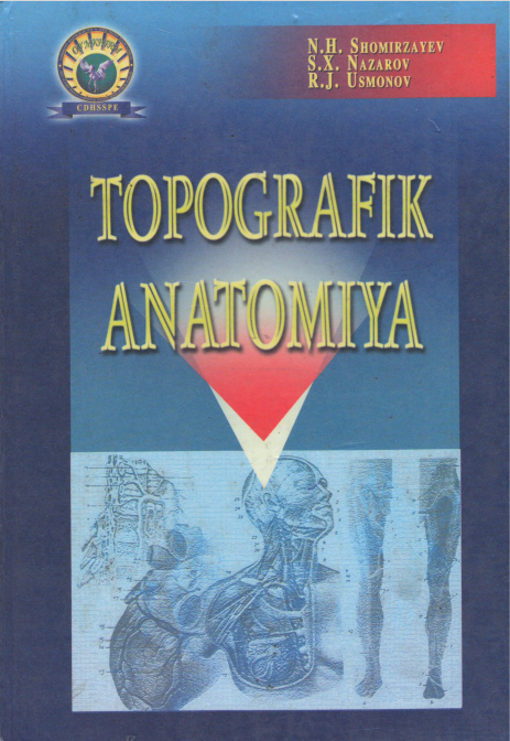 TOPOGRAFIK ANATOMIYA