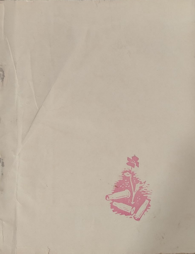 Нури дийдалар