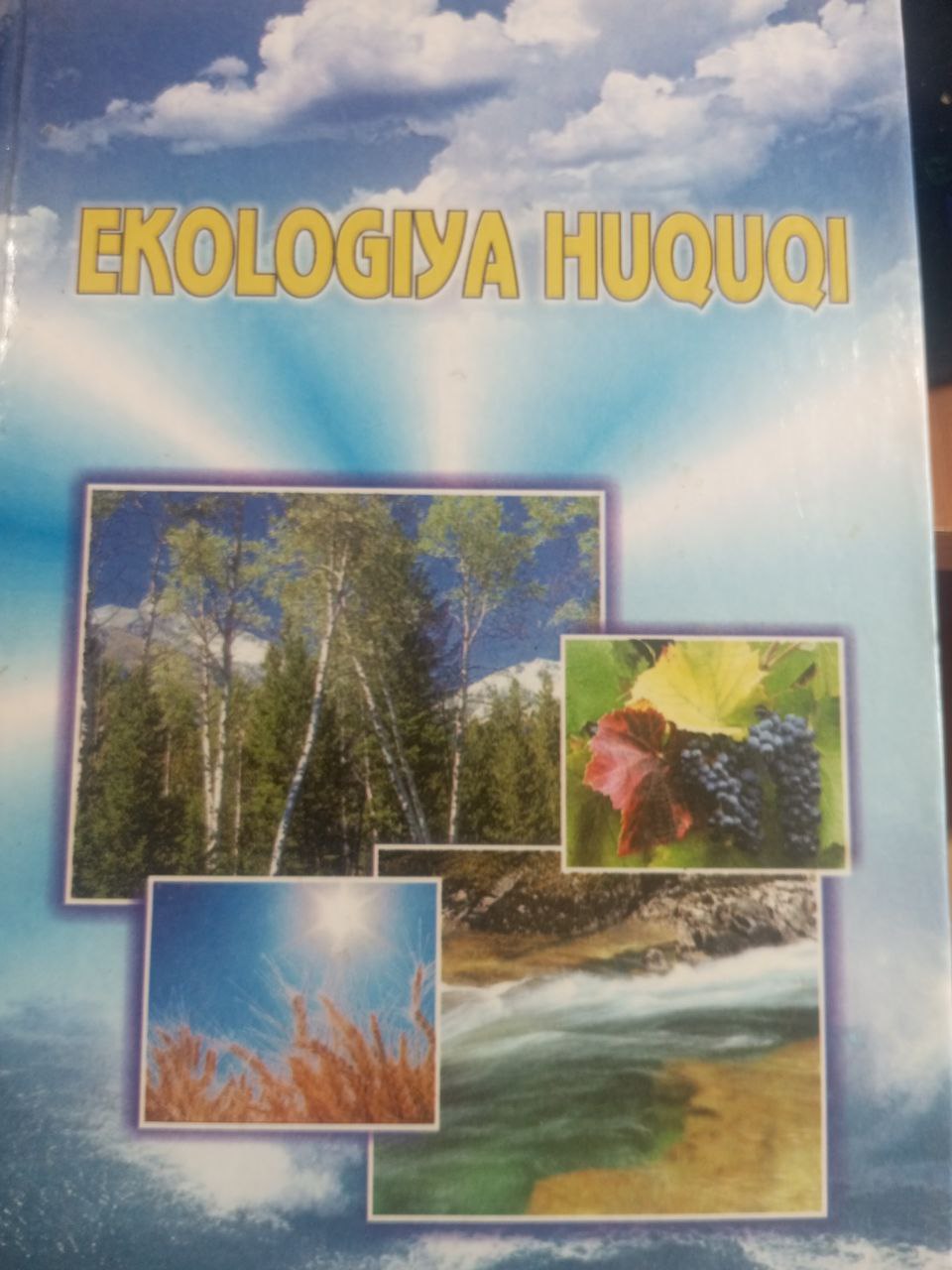 Ekologiya huquqi