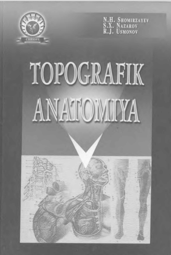 Topografik anatomiya