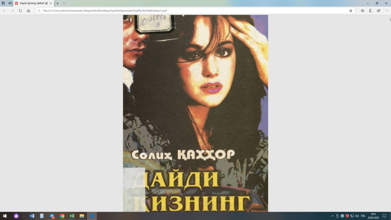 Дайди кизнинг дафтари