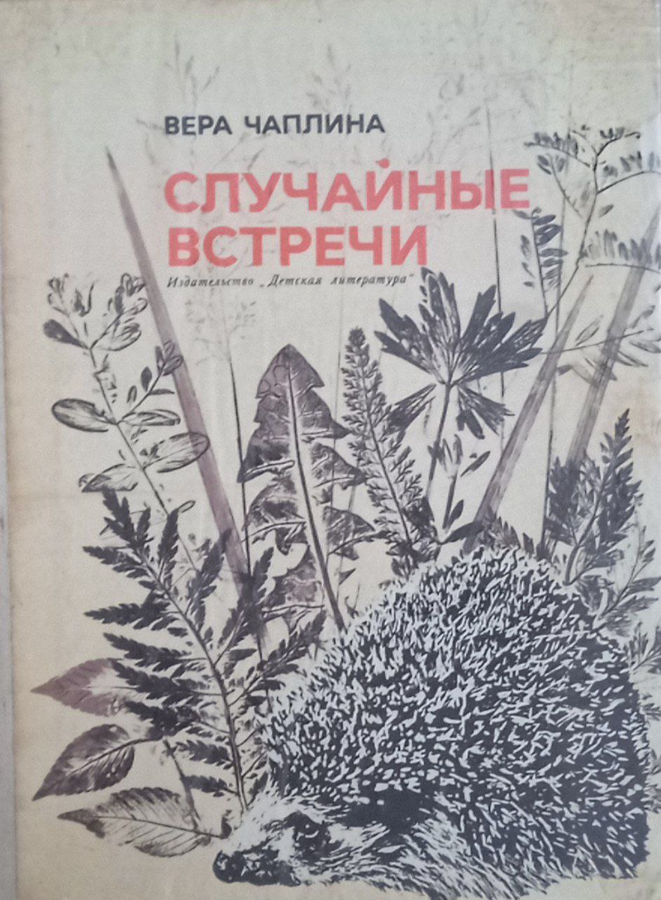 Случайные встречи