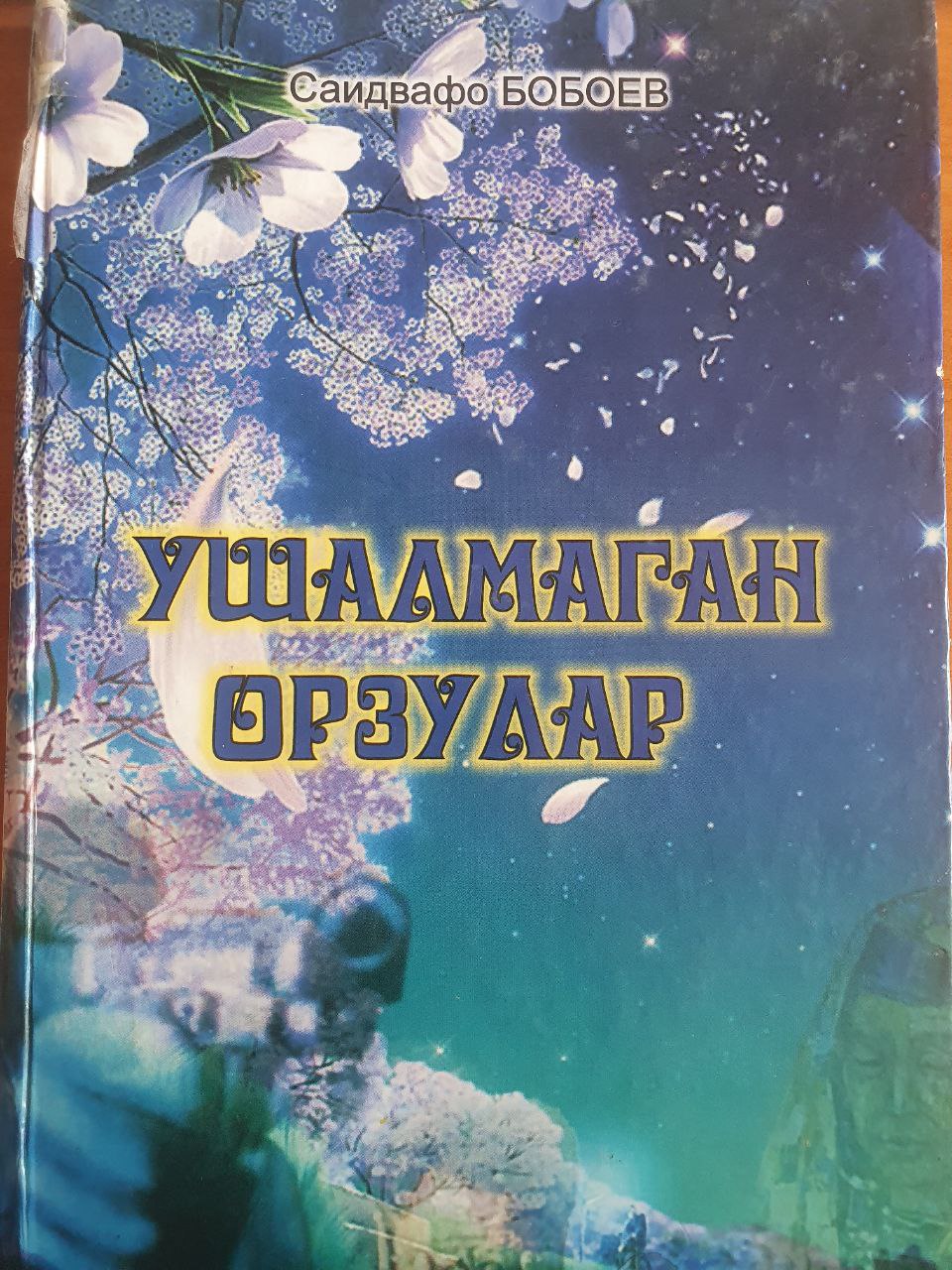 Ушалмаган орзулар