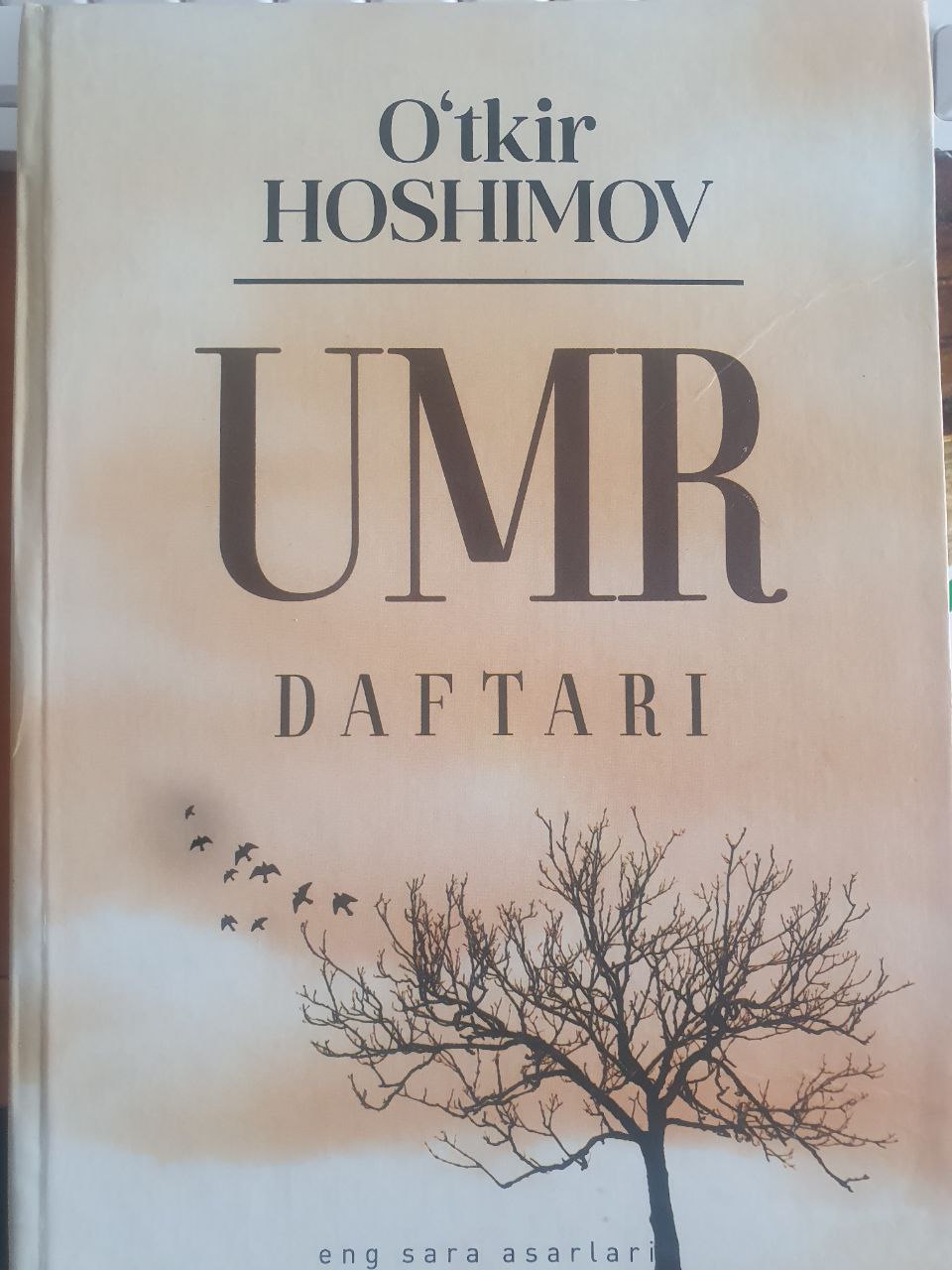 Umr daftari
