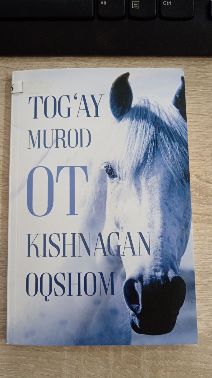 Ot kishnagan oqshom