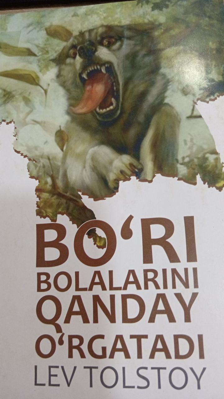 Bo'ri bolalarini qanday o'rgatadi