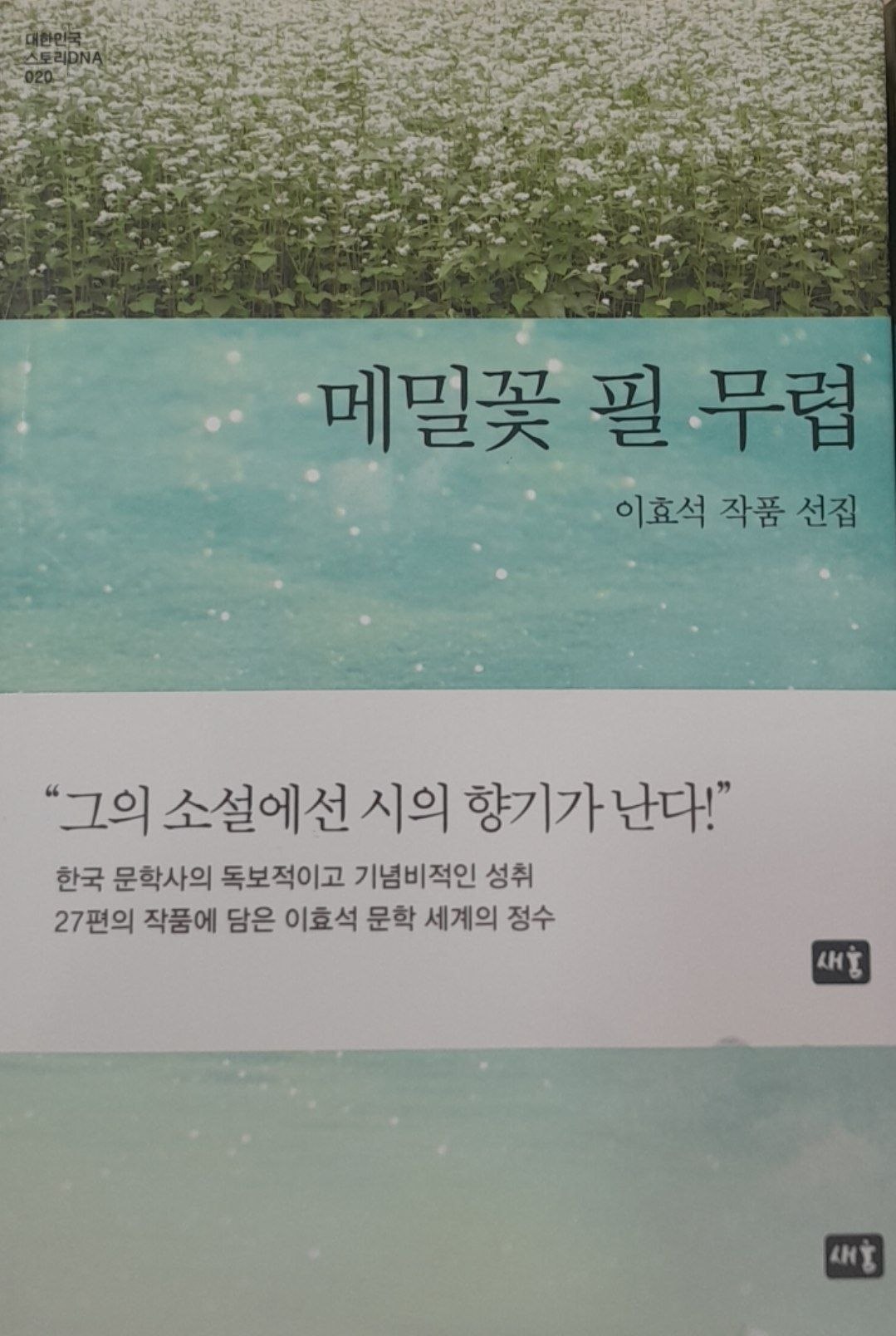 메밀 꽃 필 무렵