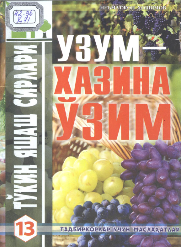 УЗУМ - ХАЗИНА УЗИМ.