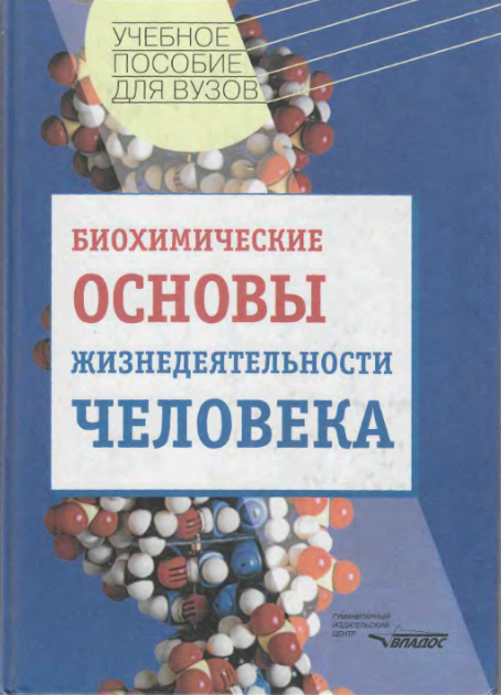 Биохимические основы жизнедеятельности человека