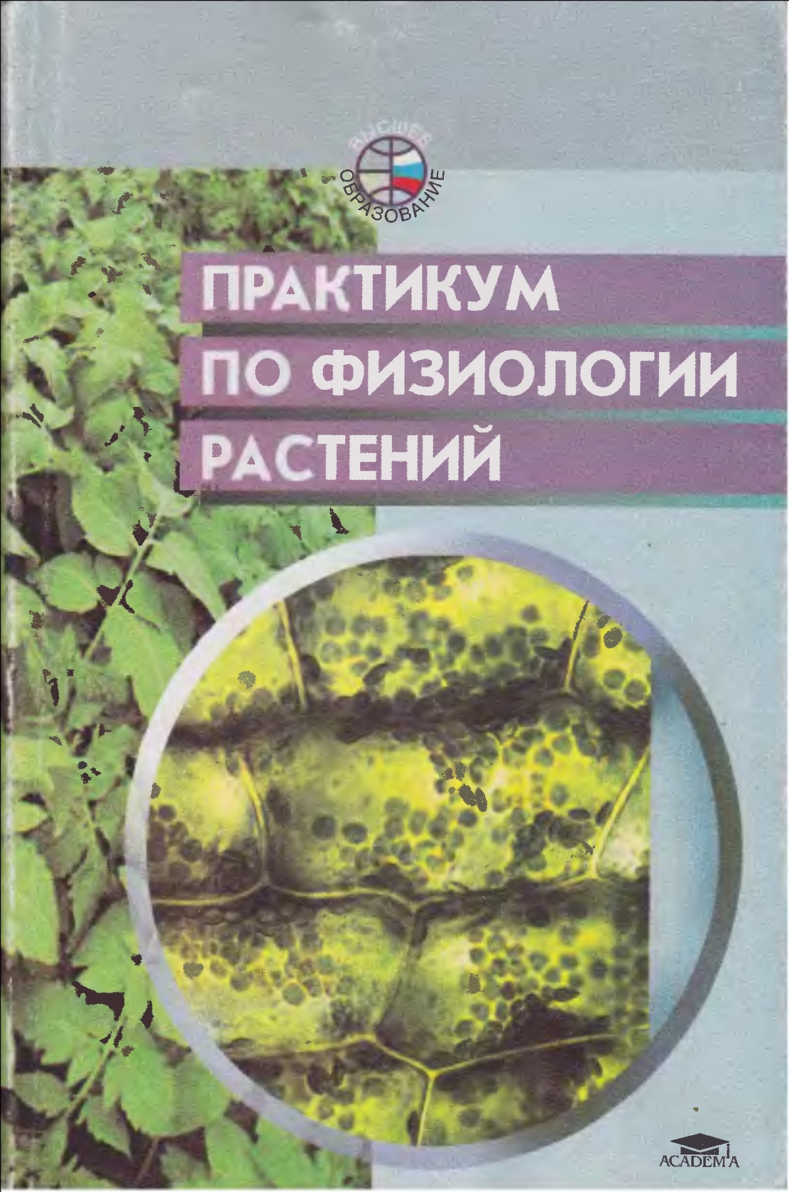 Практикум по физиологии растений