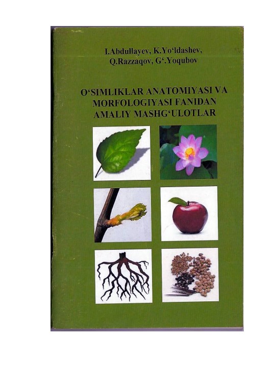 O'simliklar anatomiyasi va morfologiyasi fanidan amaliy mashg'ulotlar